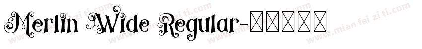 Merlin Wide Regular字体转换